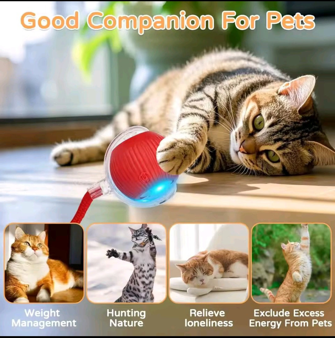 Product title
PetNova ChaseGlow™ – Interactive Rolling Cat Toy