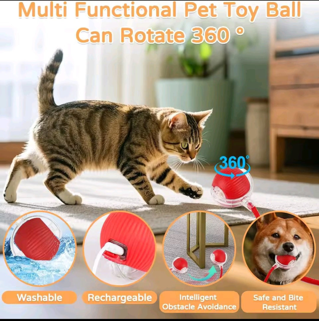 Product title
PetNova ChaseGlow™ – Interactive Rolling Cat Toy